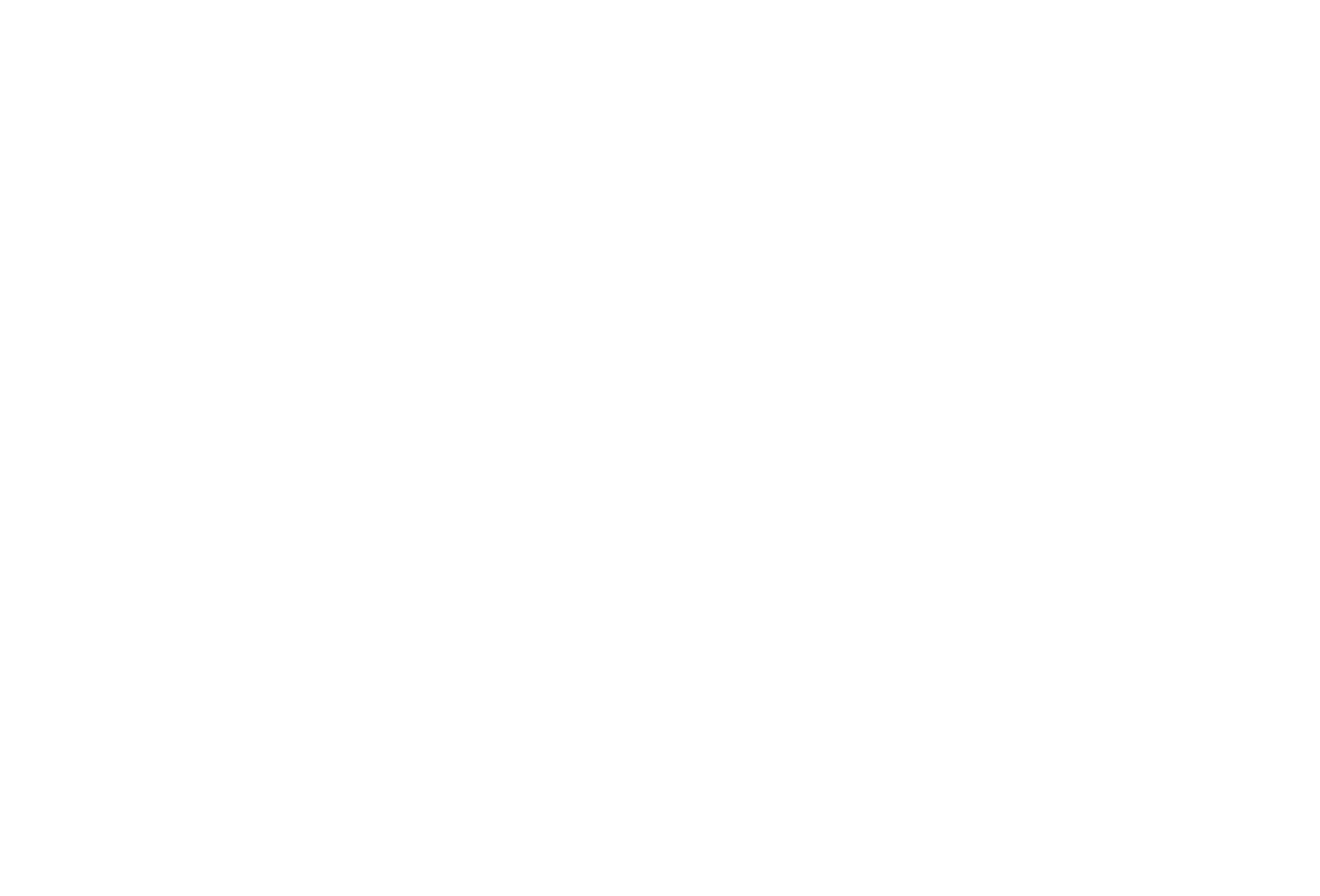essenza log